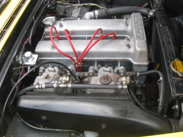 ���[�^�X�G����S3DHC