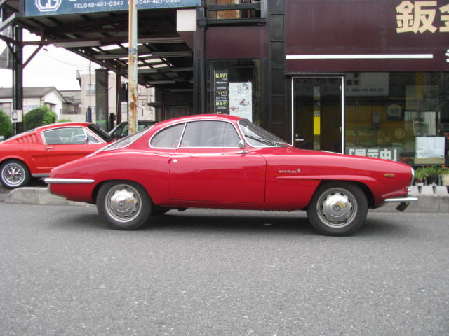 �A���t�@�����I�@�r�r