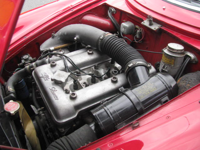 �A���t�@�����I�@�r�r