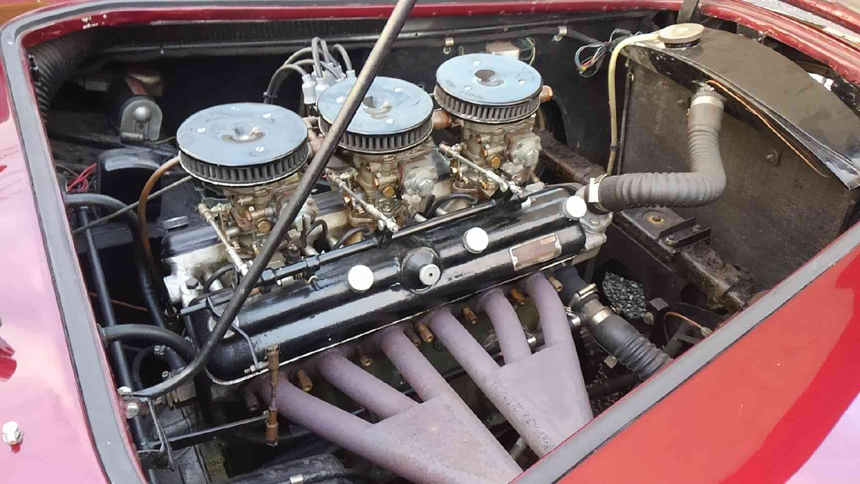 1955�@AC�@Aceca  AC�A�V�[�J