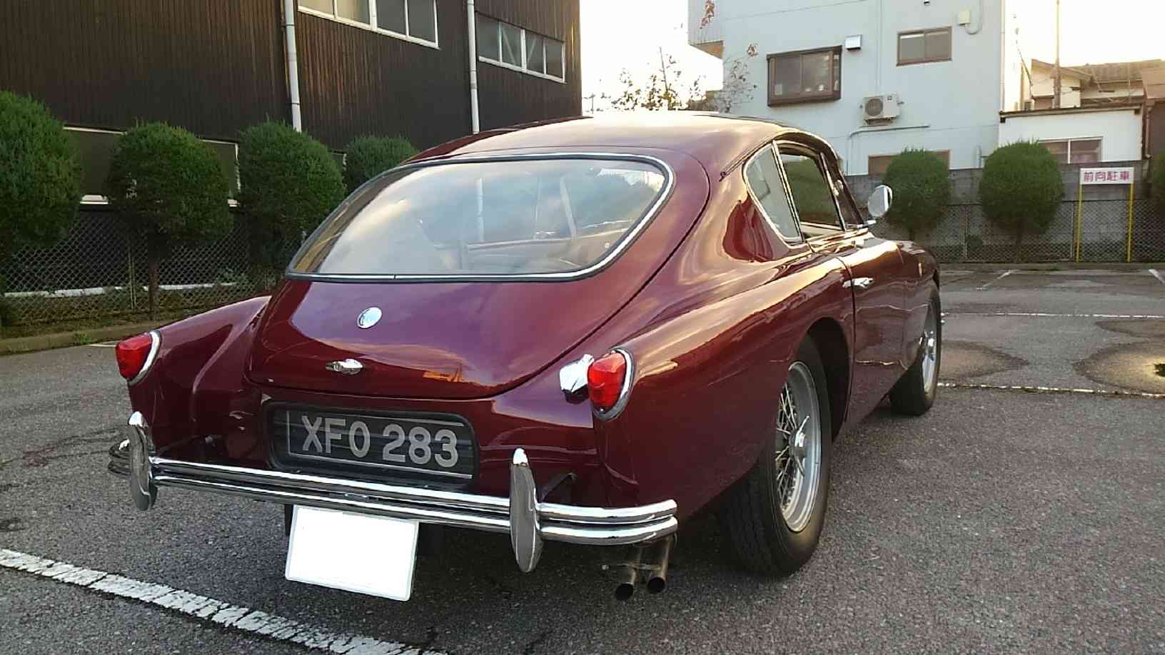 1955�@AC�@Aceca  AC�A�V�[�J