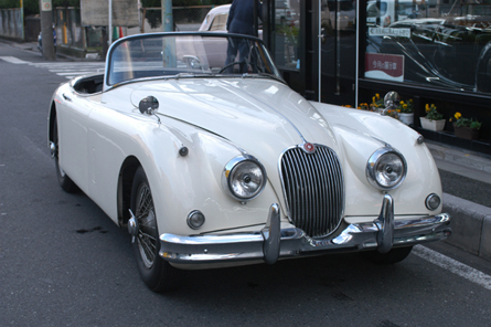 �W���K�[�@�w�j150�@RS�@ 