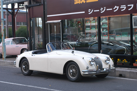 �W���K�[�@�w�j150�@RS�@ 